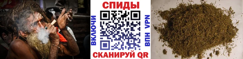 Бутират буратино  Тогучин 
