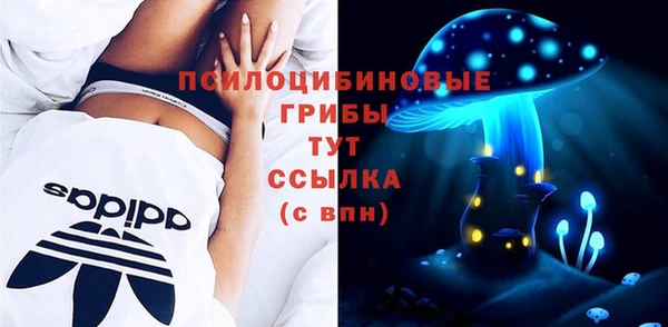 ГАЛЛЮЦИНОГЕННЫЕ ГРИБЫ Белоозёрский