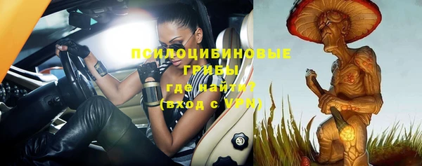 соль курить ск Белокуриха