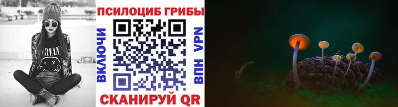 MEGA как войти  Тогучин  Галлюциногенные грибы Psilocybe  купить наркотики сайты 